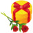 gift rose Icon